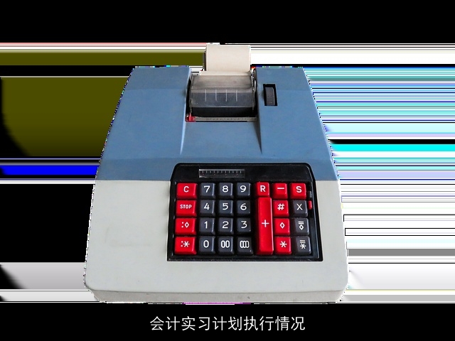 会计实习计划执行情况