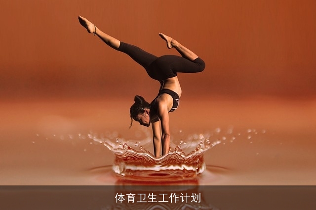 体育卫生工作计划