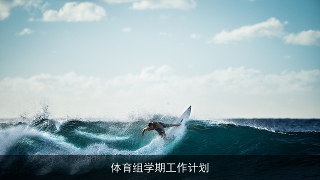 体育组学期工作计划