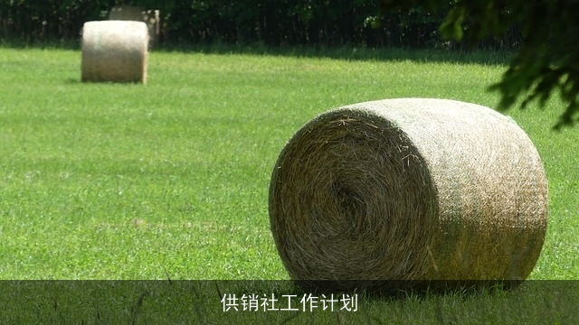 供销社工作计划