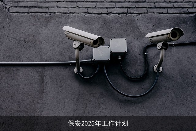 保安2025年工作计划