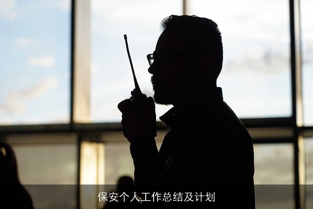 保安个人工作总结及计划