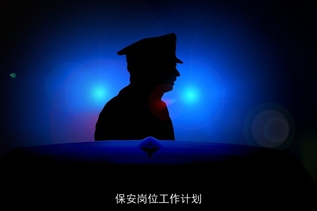 保安岗位工作计划