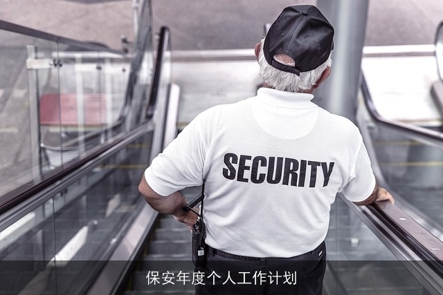 保安年度个人工作计划