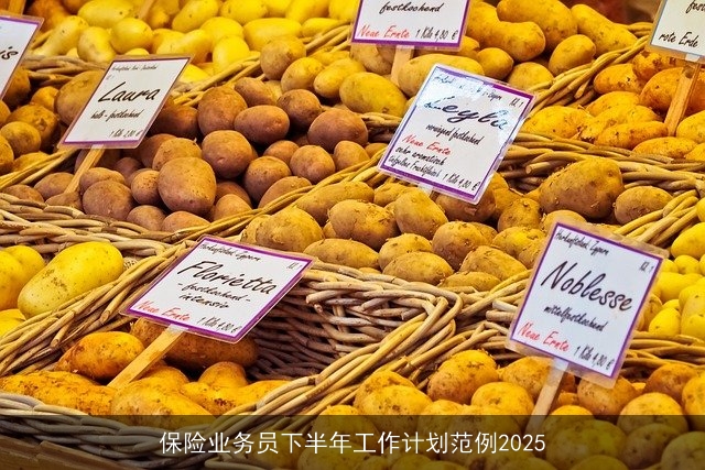 保险业务员下半年工作计划范例2025