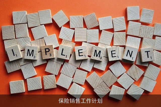 保险销售工作计划