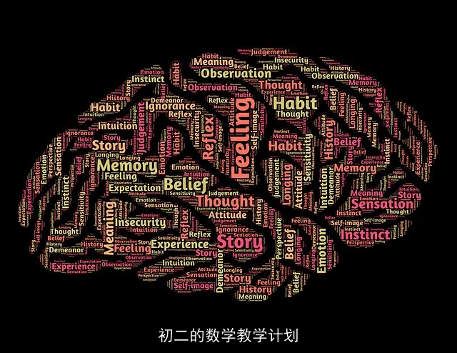 初二的数学教学计划
