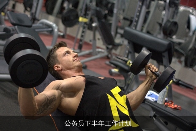 公务员下半年工作计划