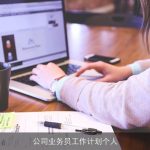 公司业务员工作计划个人