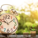 公司会计个人工作计划2025
