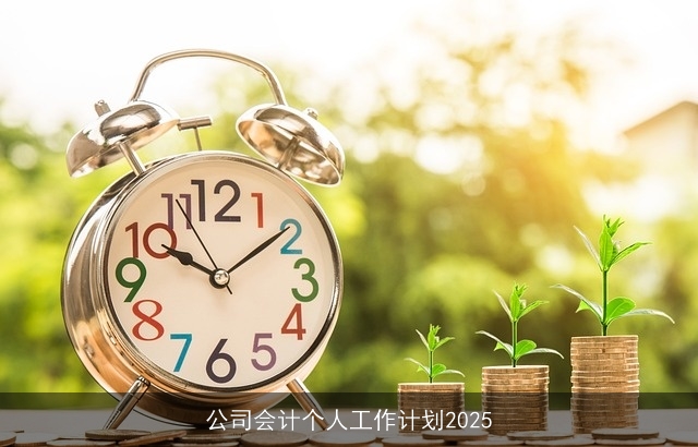 公司会计个人工作计划2025
