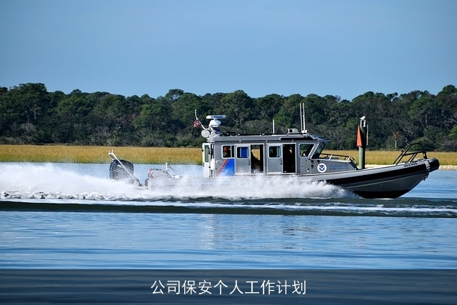 公司保安个人工作计划