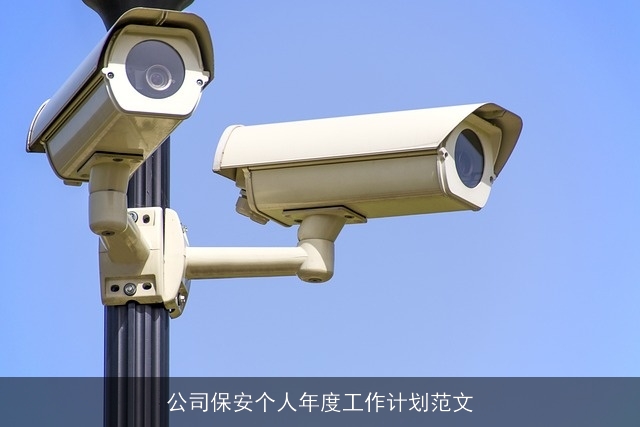 公司保安个人年度工作计划范文
