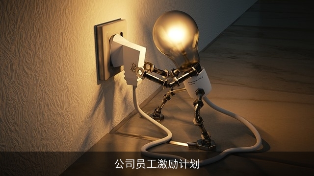 公司员工激励计划