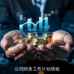 公司财务工作计划模板