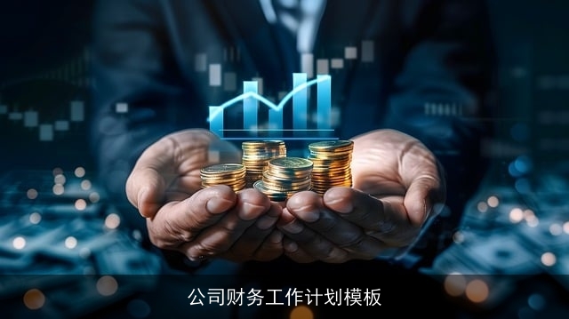 公司财务工作计划模板