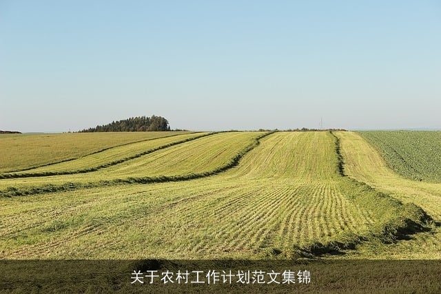 关于农村工作计划范文集锦