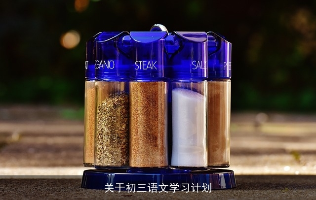 关于初三语文学习计划