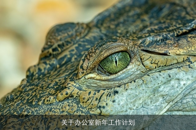 关于办公室新年工作计划