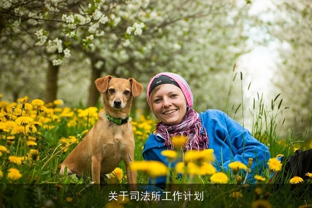 关于司法所工作计划