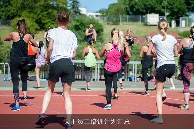 关于员工培训计划汇总