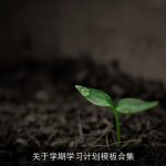 关于学期学习计划模板合集