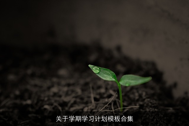 关于学期学习计划模板合集