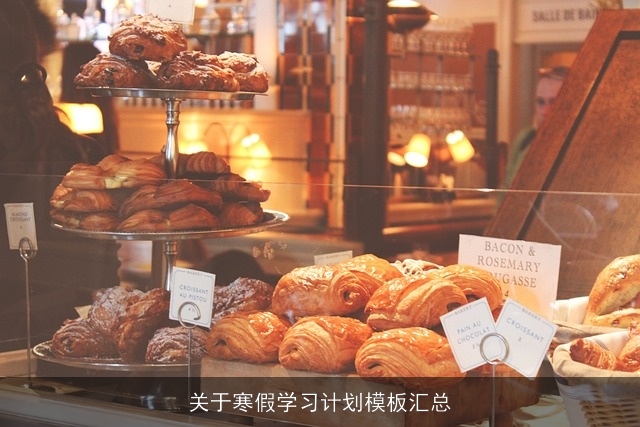 关于寒假学习计划模板汇总