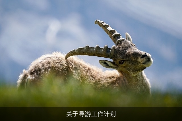 关于导游工作计划