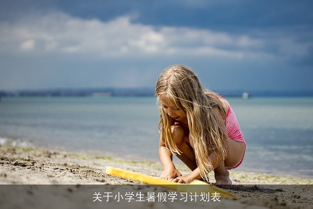 关于小学生暑假学习计划表