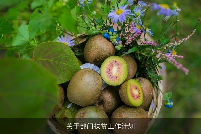 关于部门扶贫工作计划