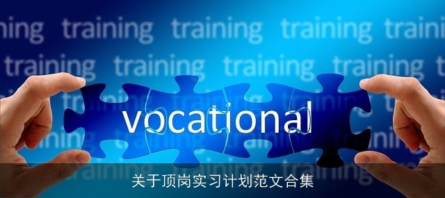 关于顶岗实习计划范文合集