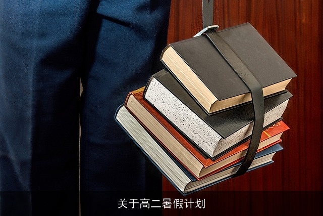 关于高二暑假计划