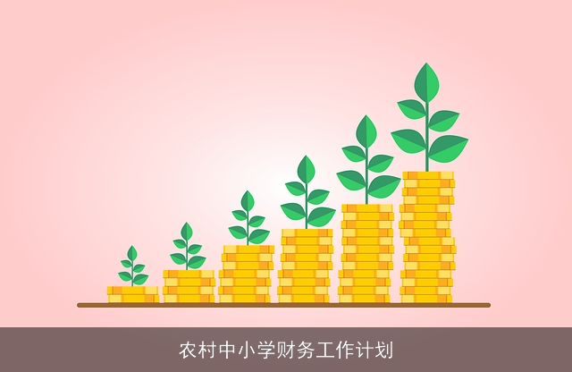 农村中小学财务工作计划