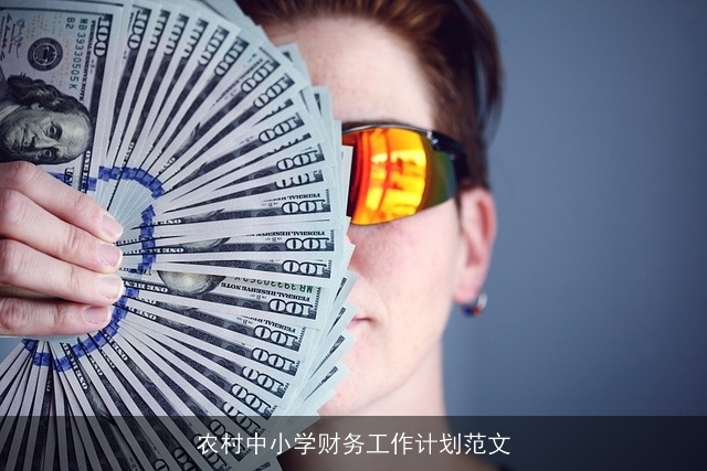 农村中小学财务工作计划范文