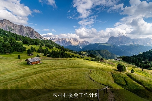农村村委会工作计划