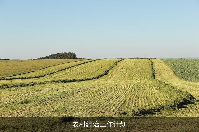 农村综治工作计划