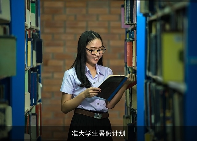 准大学生暑假计划