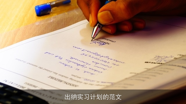 出纳实习计划的范文