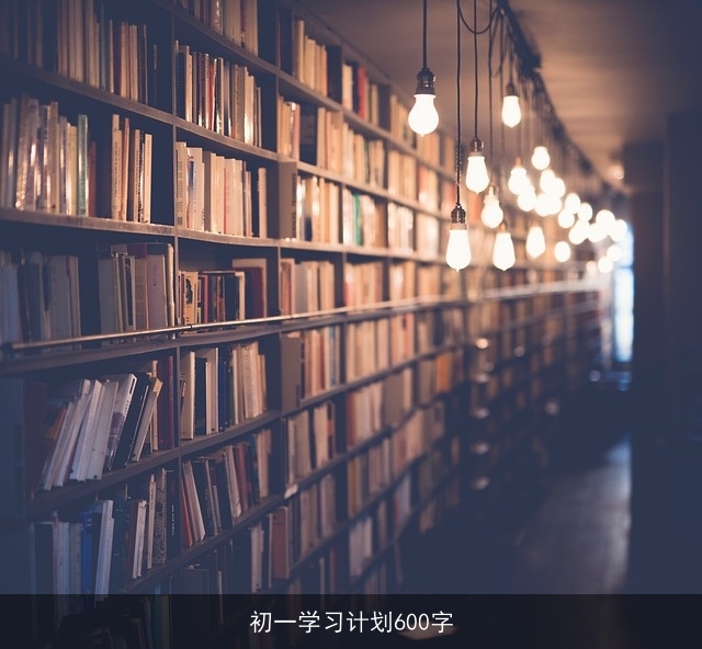 初一学习计划600字