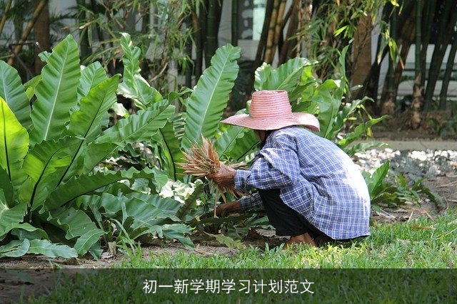 初一新学期学习计划范文