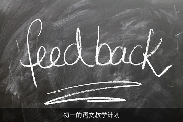 初一的语文教学计划