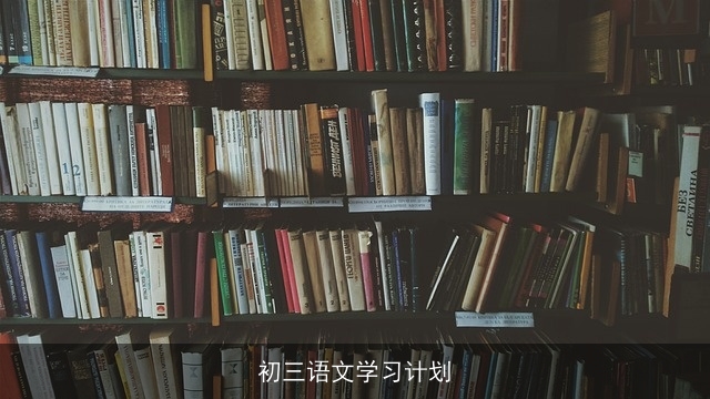 初三语文学习计划
