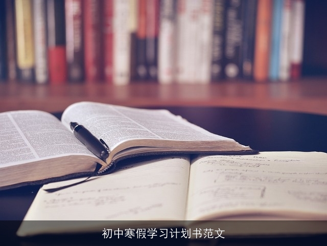 初中寒假学习计划书范文