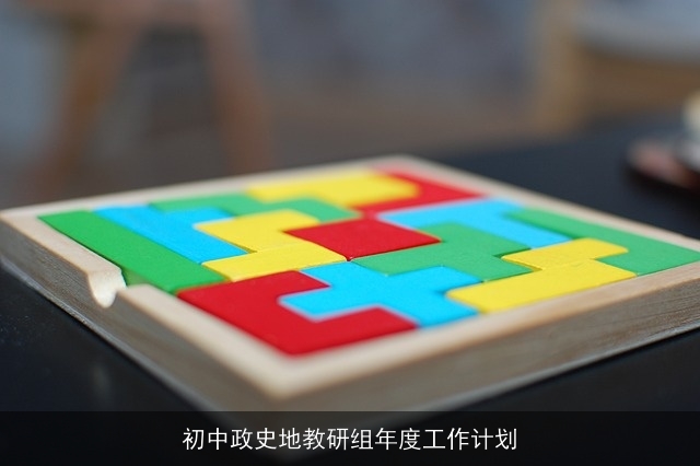 初中政史地教研组年度工作计划