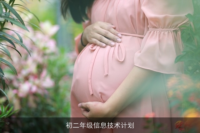 初二年级信息技术计划