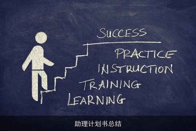 助理计划书总结