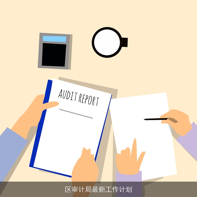 区审计局最新工作计划