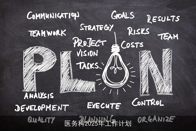 医务科2025年工作计划