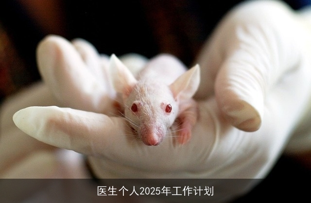 医生个人2025年工作计划